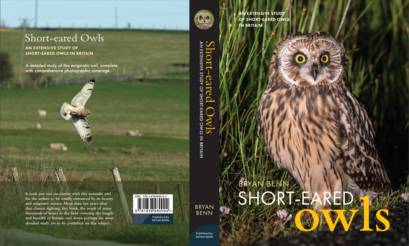 Short-eared Owl book cover photo.